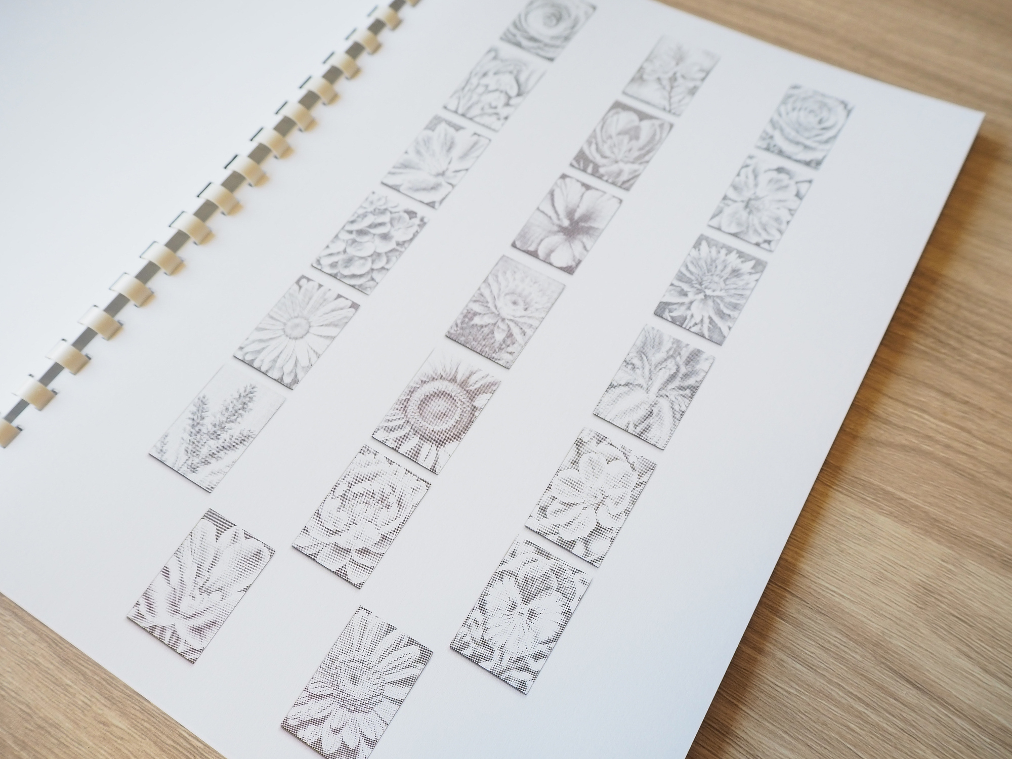 dotting book- flowers (2)